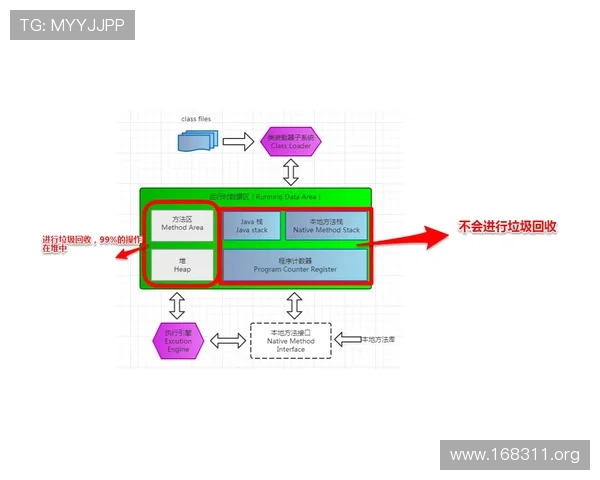 深入理解“expektans betyder”的含义与应用解析